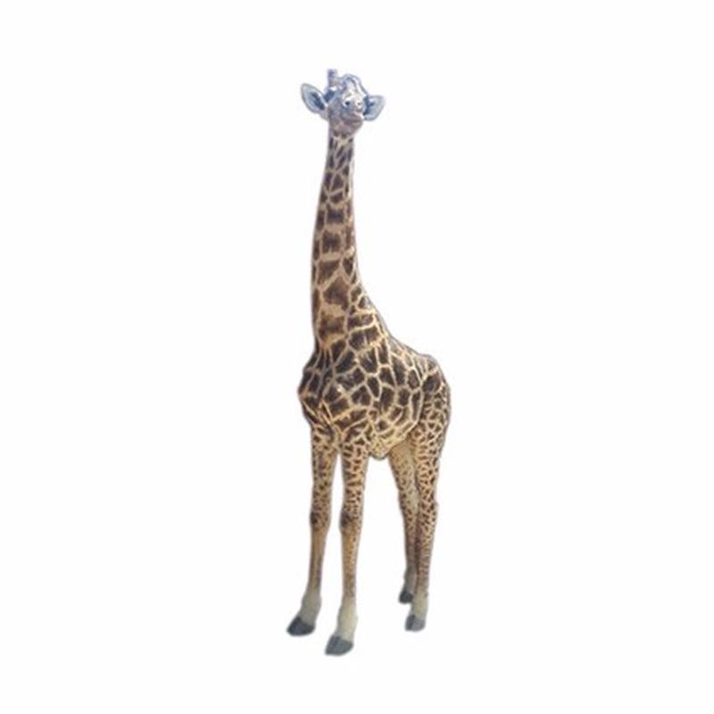 African Giraffe Full Mount For Sale - AG