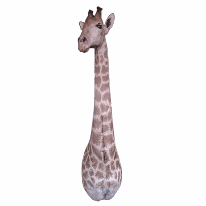 African Taxidermy Giraffe Shoulder Mount - A&B