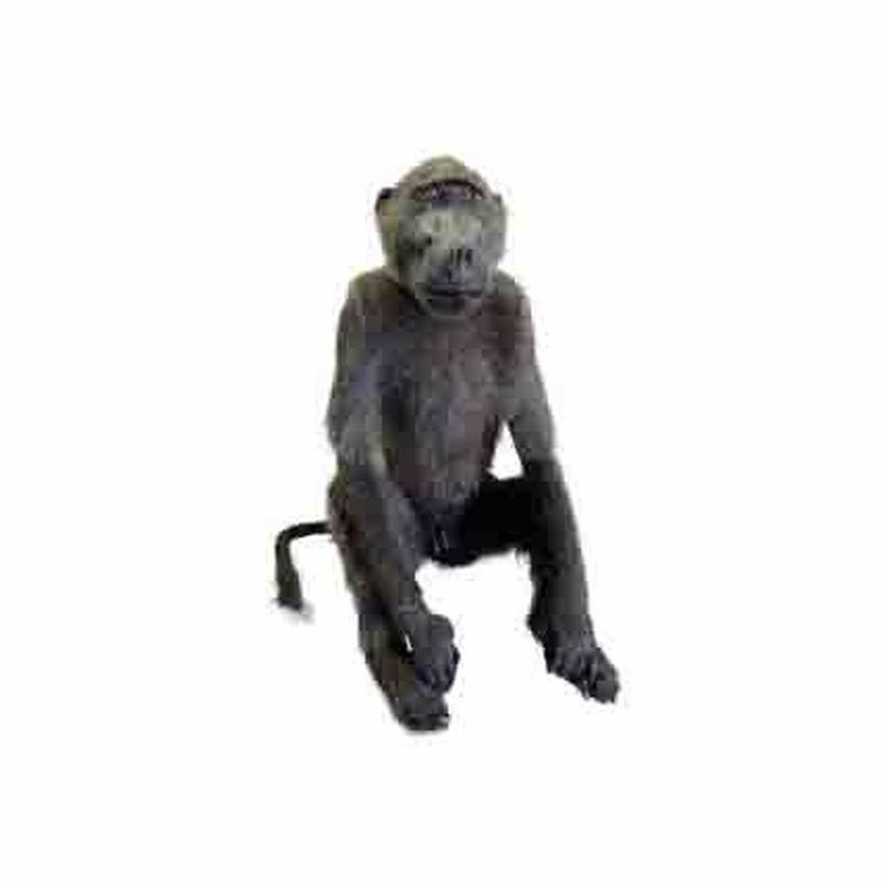 Baboon Full Mount BF1
