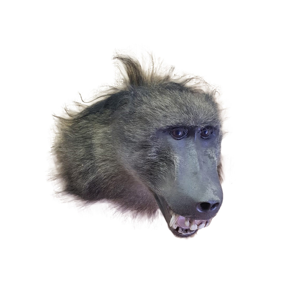 BABOON HEAD MOUNT