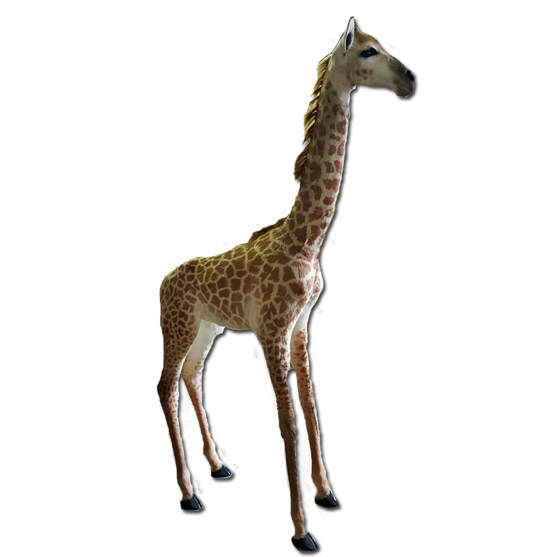 Baby Giraffe Full Mount - BGFM104 - Image 2