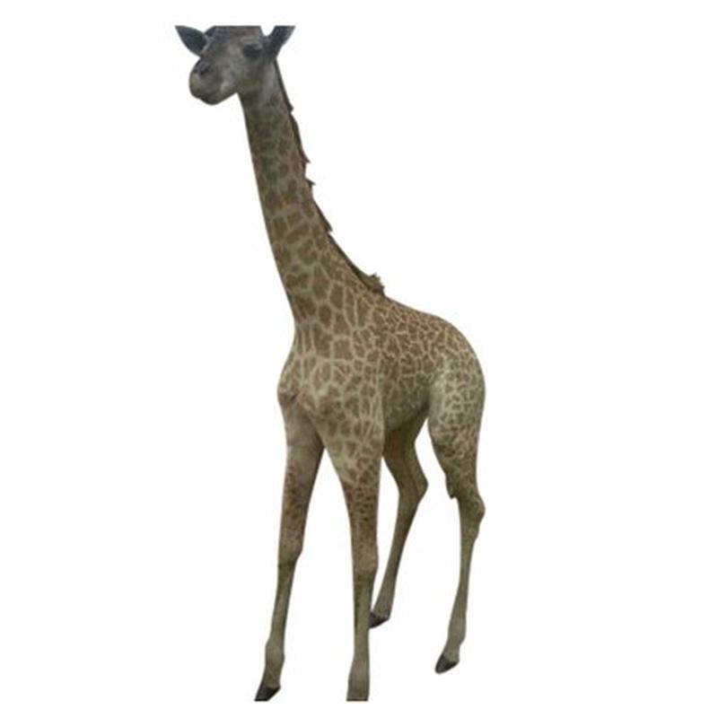 Baby Giraffe Full Mount BG1