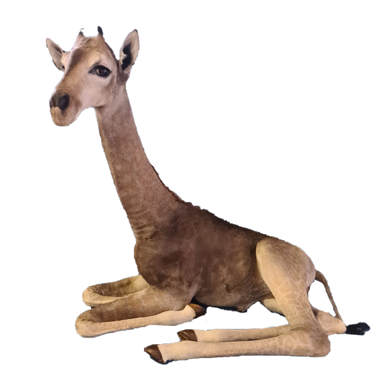 Baby Giraffe Full Mount - BGFM105
