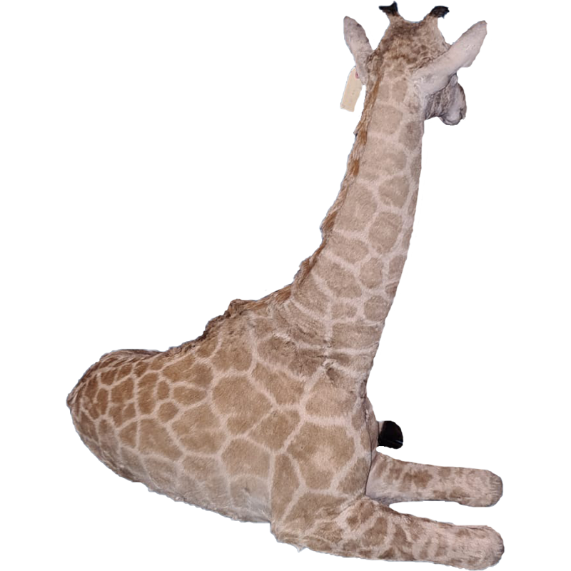 Baby Giraffe Full Mount - BGFM106 - Image 3