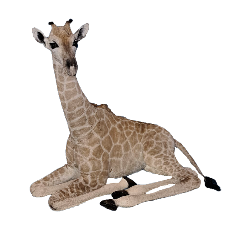 Baby Giraffe Full Mount - BGFM106
