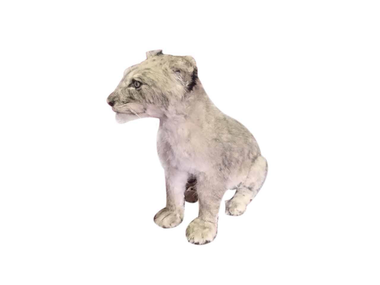 Baby Lion Sitting Full Mount - BL2 - Image 2