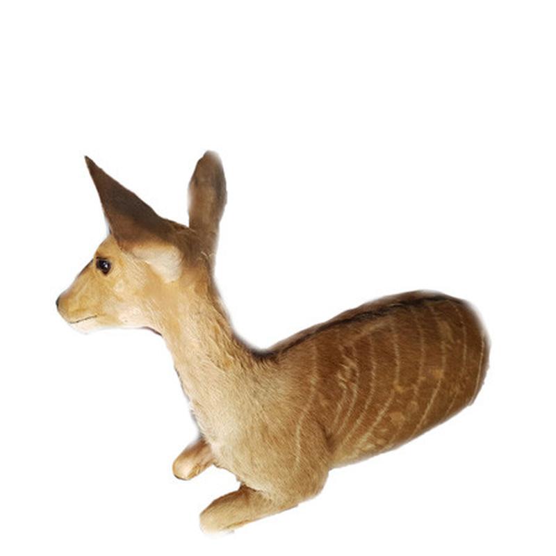 Baby Nyala Full Mount BNF1 - Image 2