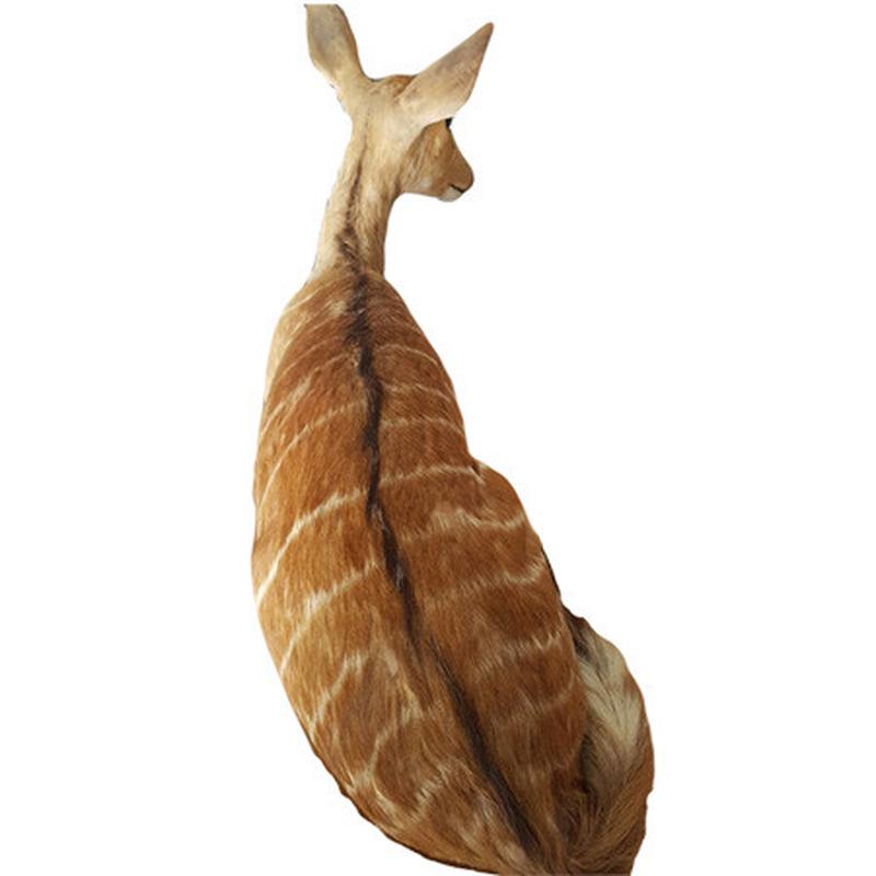 Baby Nyala Full Mount BNF1 - Image 4