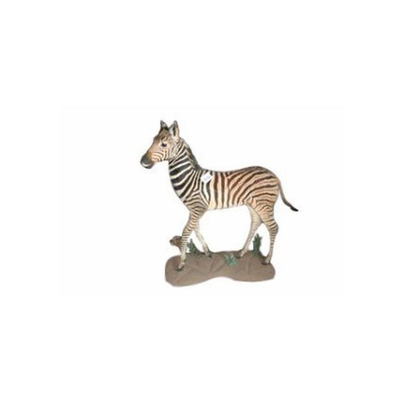 Baby Zebra Full Mount - BZ02