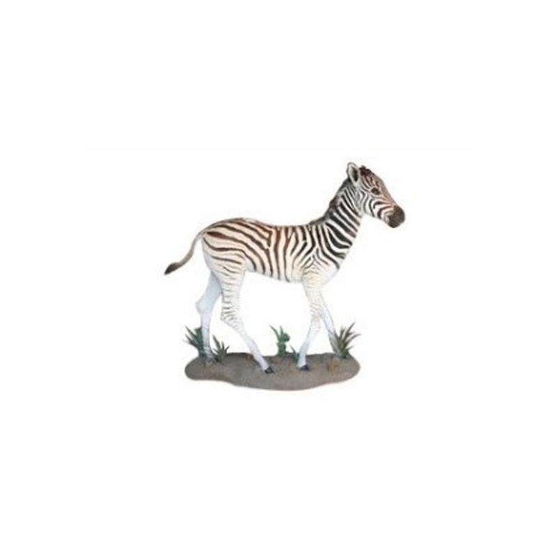 Baby Zebra Full Mount - BZ04