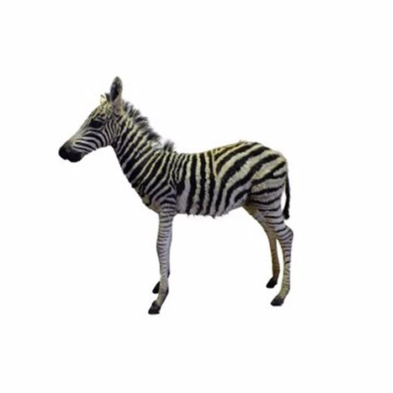 Baby Zebra Full Mount - BZFM1