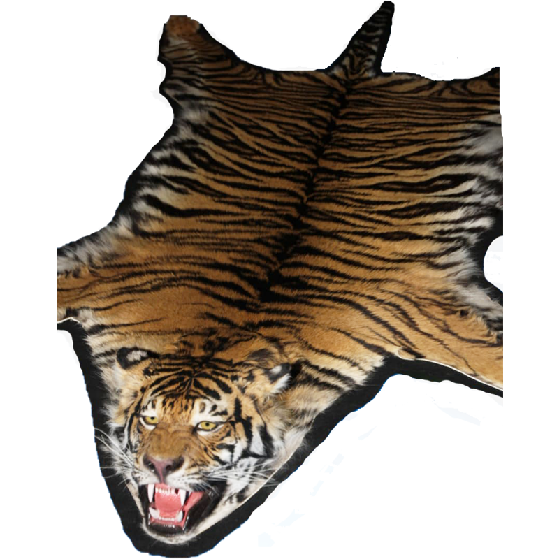 Bengal Tiger Rug Mount - BTRM 100 - Image 5