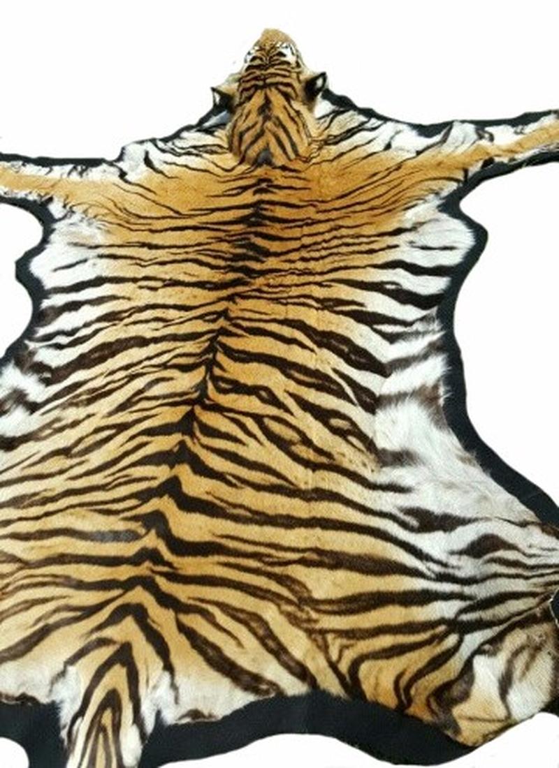 Bengal Tiger Rug Mount - BTMR1 - Image 2