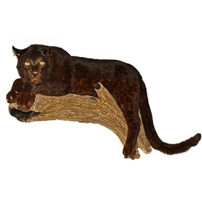 Black Leopard Full Mount BLFM1