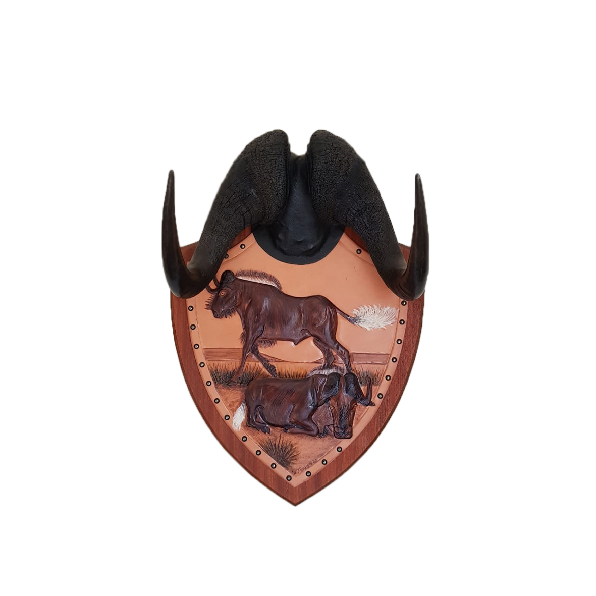 BLACK WILDEBEEST HORNS MOUNT BWHM8