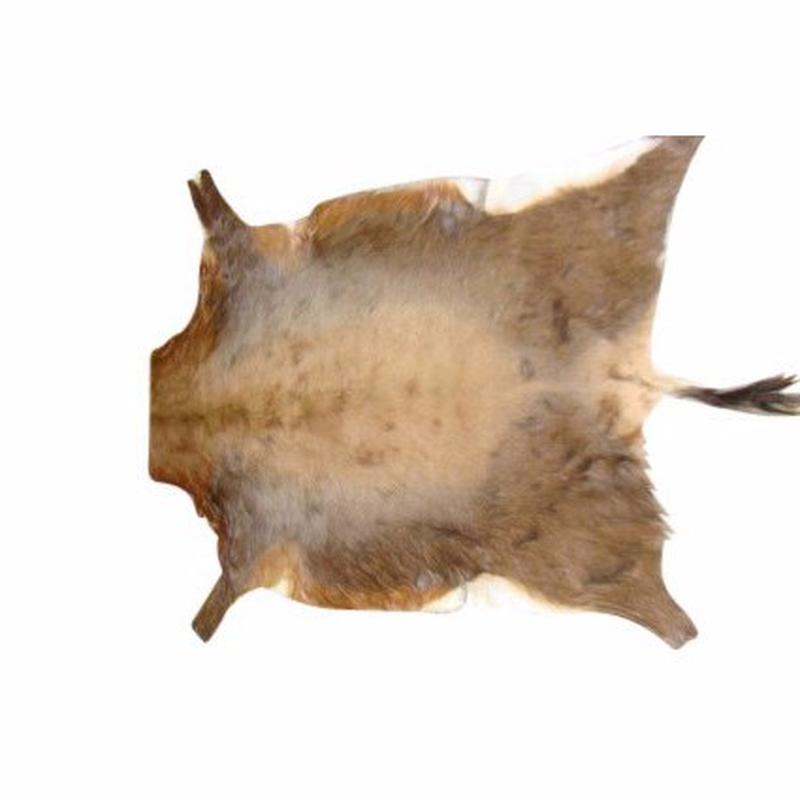 Blesbok Tanned Skin - 4593