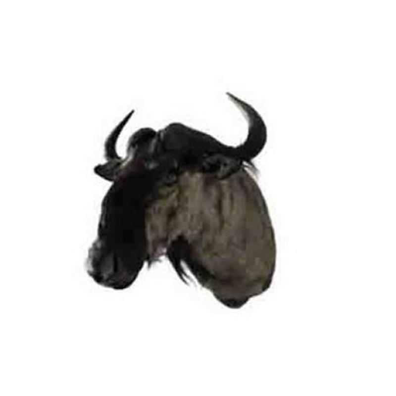 Blue Wildebeest Shoulder Mount WB03