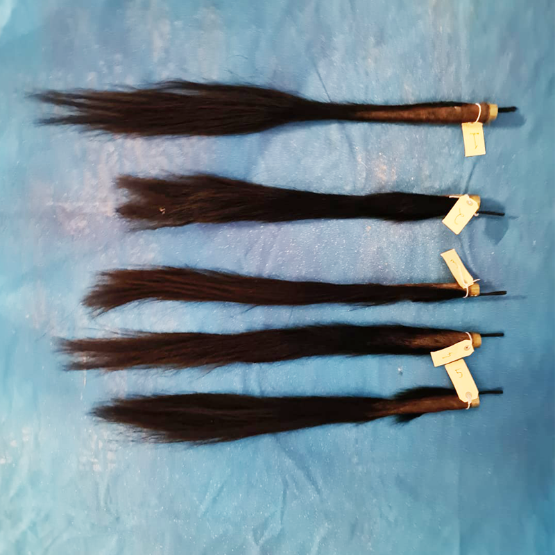 Blue Wildebeest Tail - BLUWT 100 - Image 2