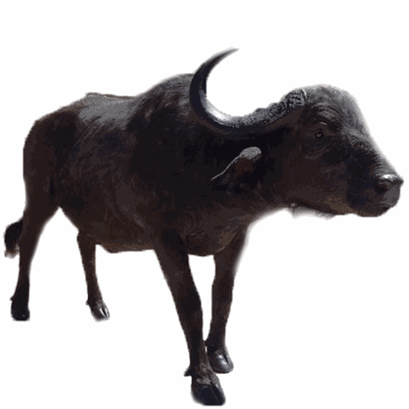 Buffalo Full Mount BFM1 - Image 3
