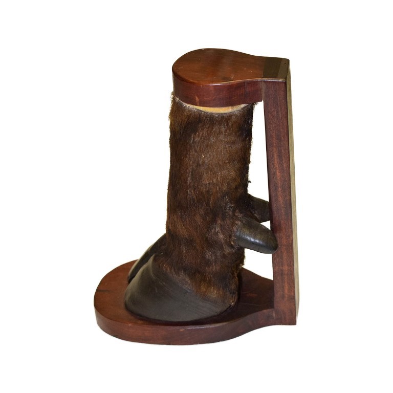Buffalo Leg - Image 2