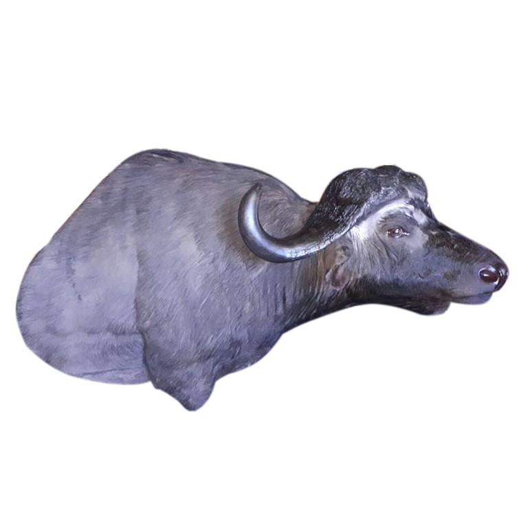 BUFFALO PEDESTAL MOUNT BPM12A - Image 2