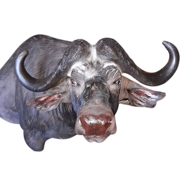 BUFFALO PEDESTAL MOUNT BPM12A - Image 3