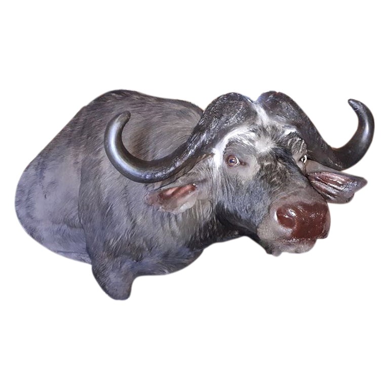 BUFFALO PEDESTAL MOUNT BPM12A - Image 4