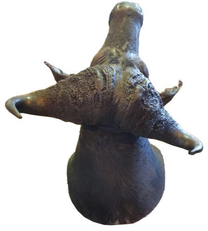 Buffalo Shoulder Mount For Sale B1 - Image 3