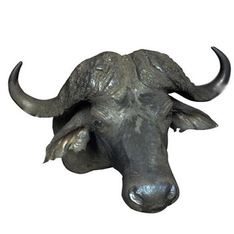 Buffalo Shoulder Mount For Sale B1