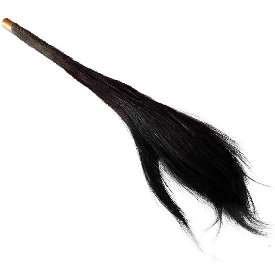 Buffalo Tail BT1