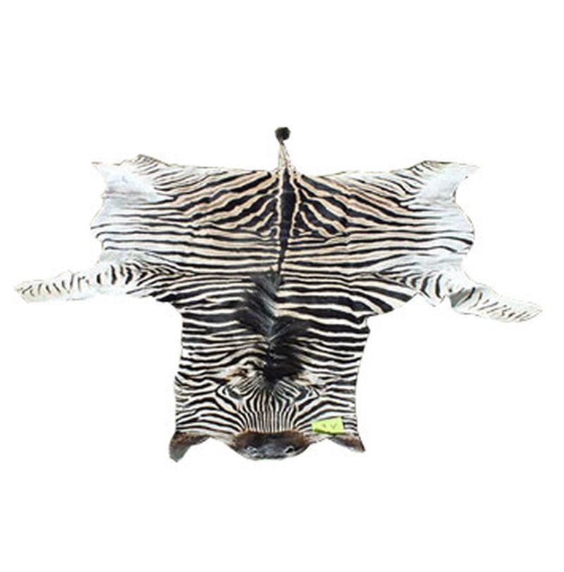 Burchell’s Zebra Skin For Sale - A1 - Image 3