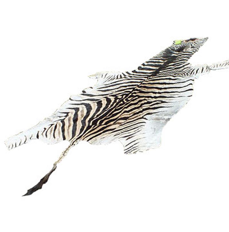 Burchell’s Zebra Skin For Sale - A1 - Image 4