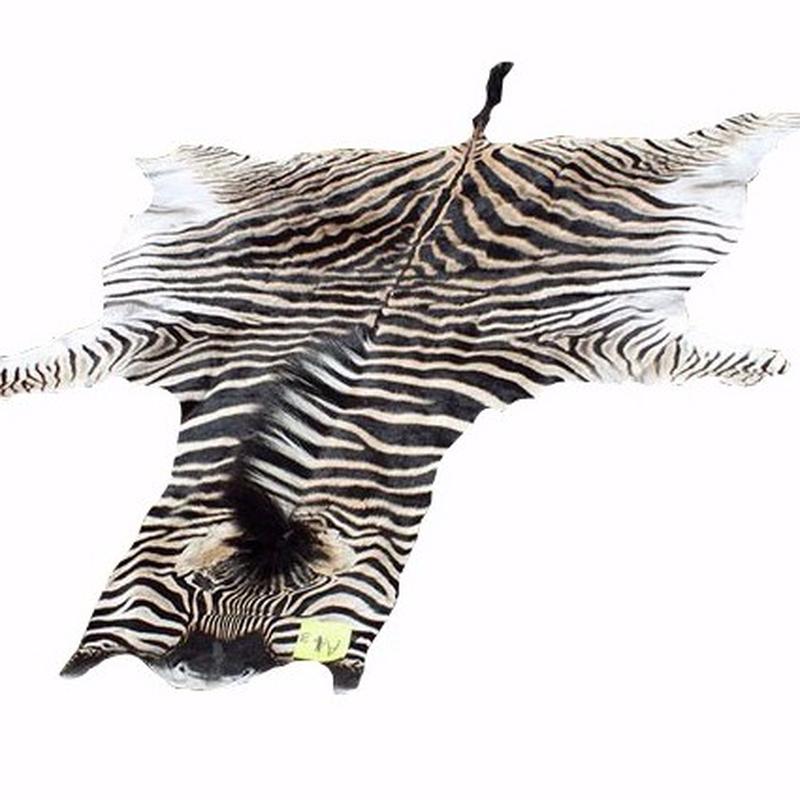 Burchell’s Zebra Skin For Sale - A3