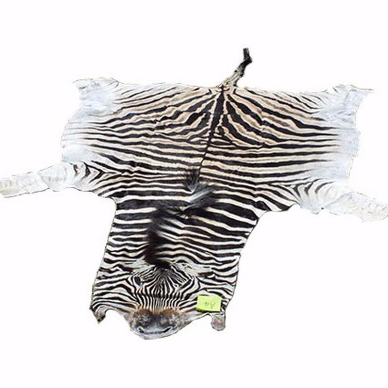 Burchell’s Zebra Skins For Sale - A4