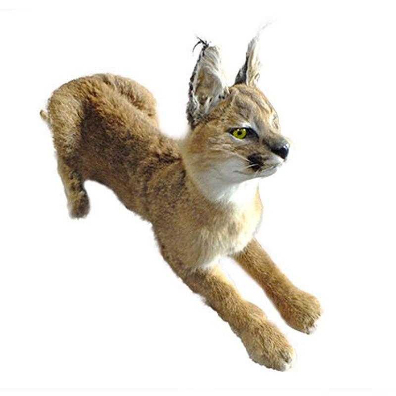 Caracal Full Mount CFM02 - Image 2