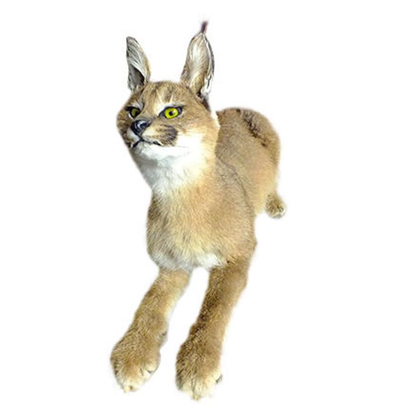 Caracal Full Mount CFM02 - Image 4