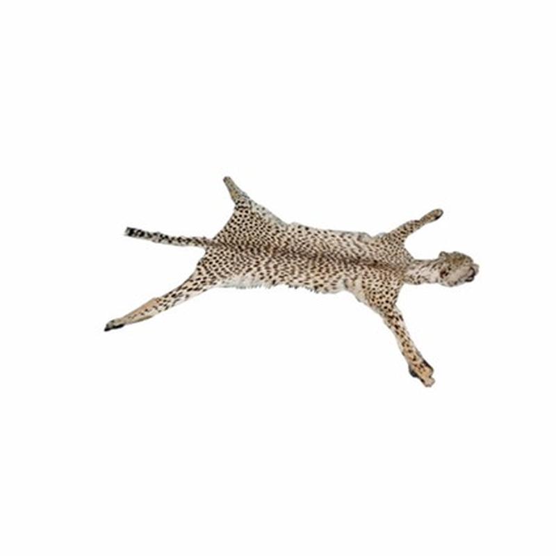 Cheetah Rug Mount CR1
