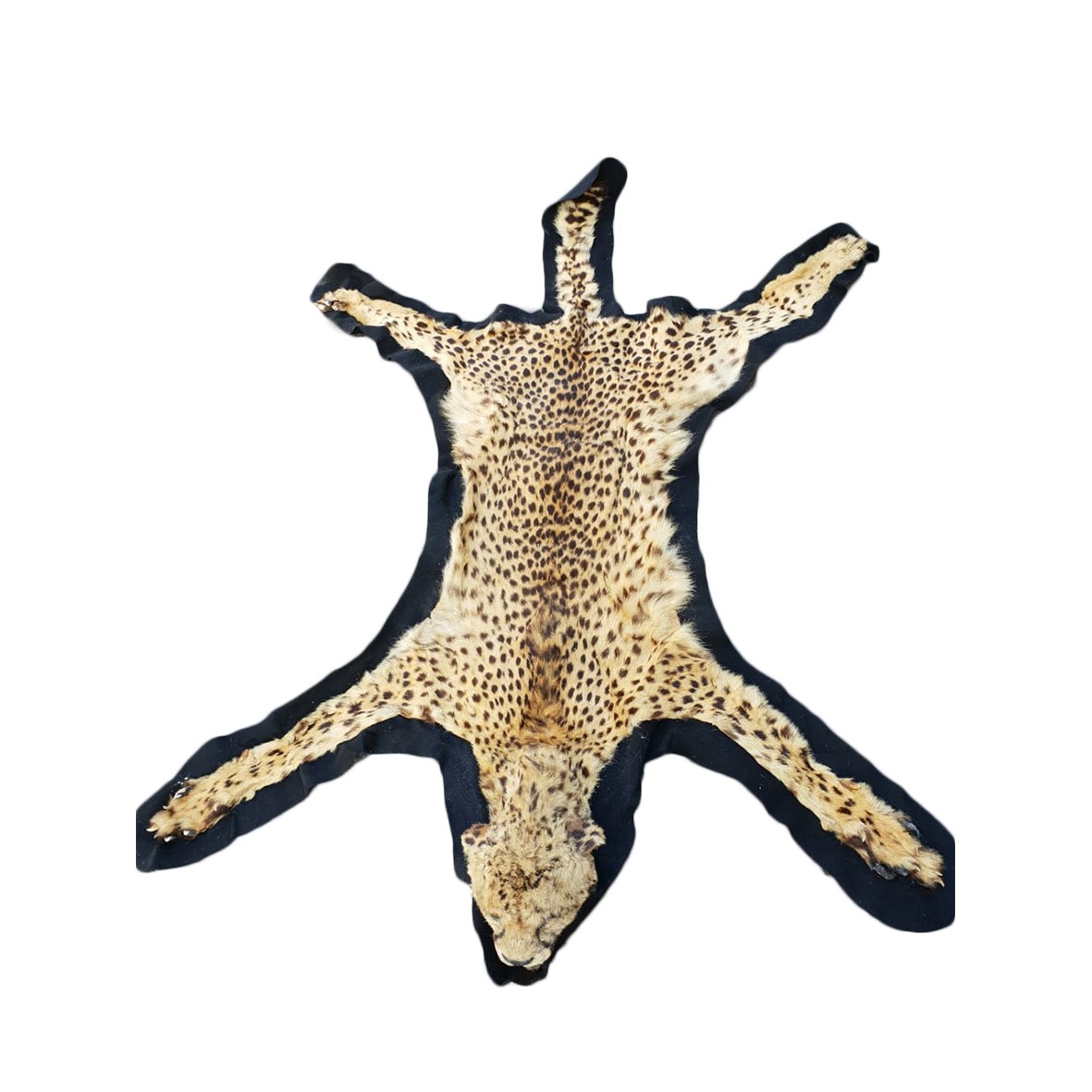 CHEETAH RUG MOUNT CRM1
