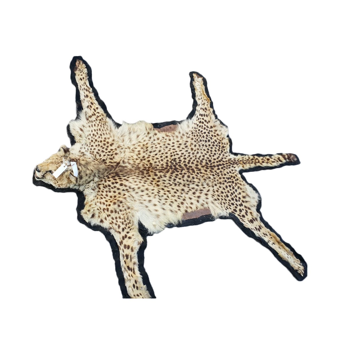 CHEETAH RUG MOUNT CRM2 - Image 3