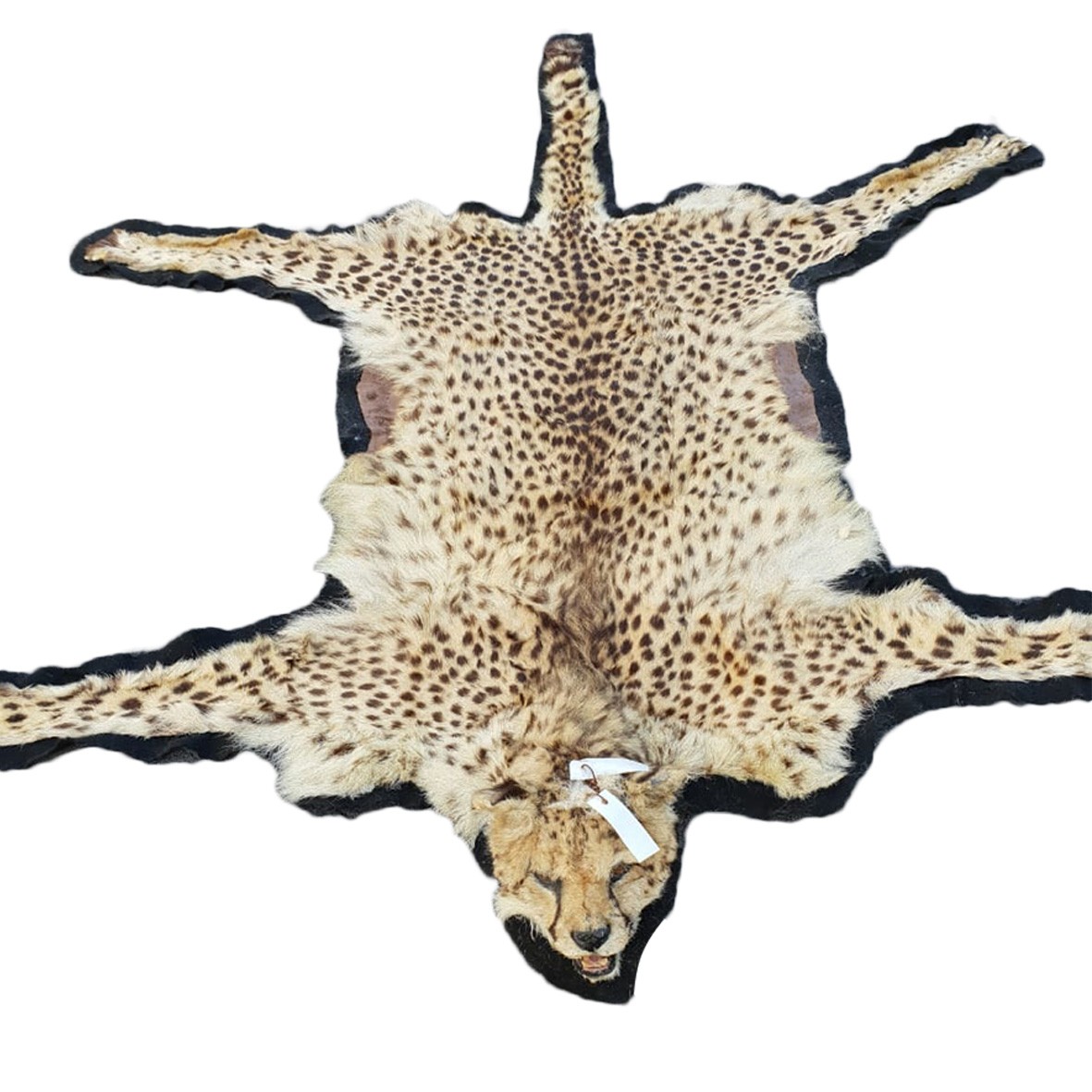 CHEETAH RUG MOUNT CRM2