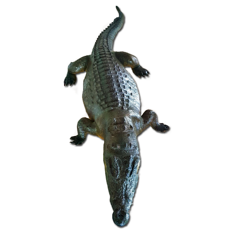Crocodile Full Mount - CFM100 - Image 2