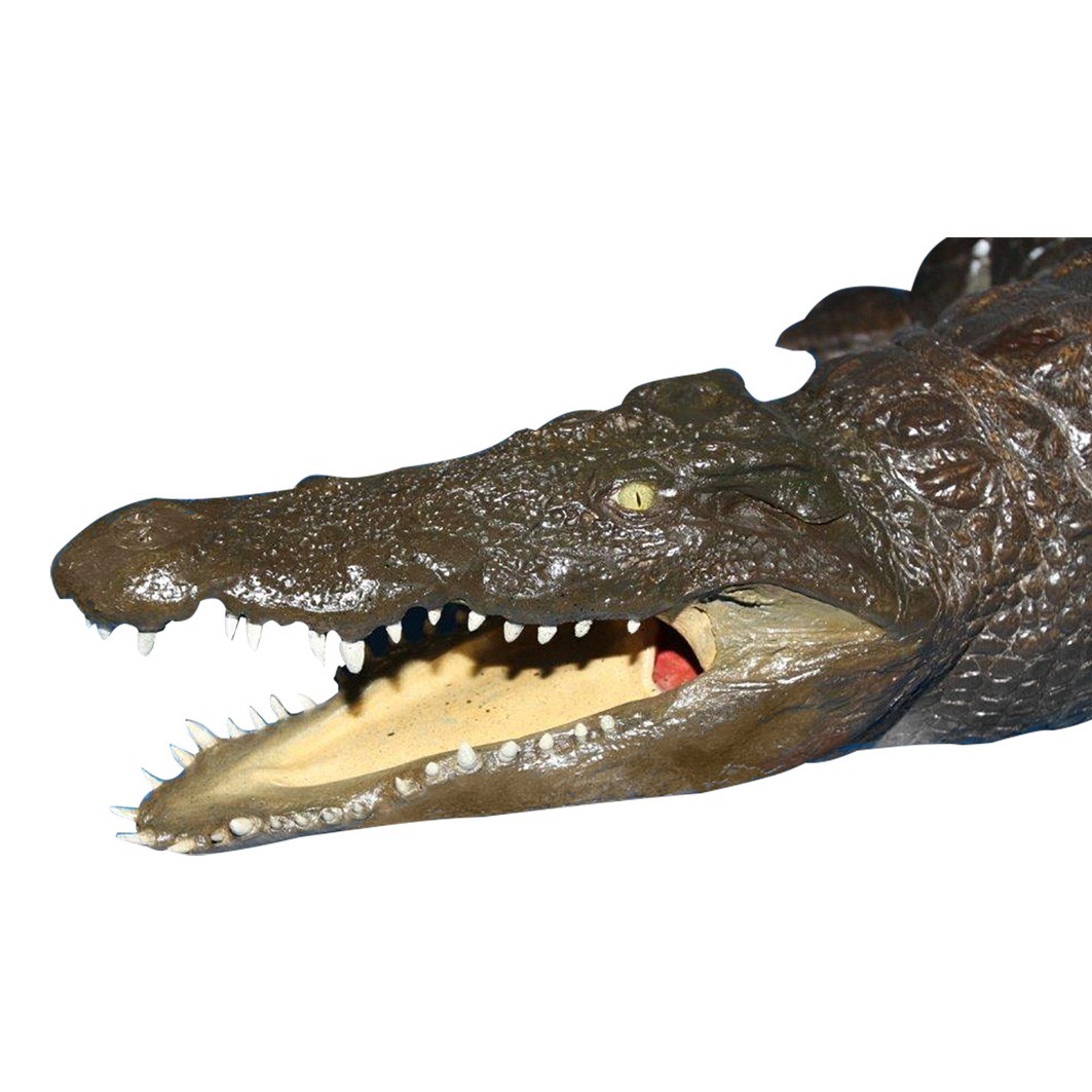 Crocodile Full Mount CFFM01 - Image 3