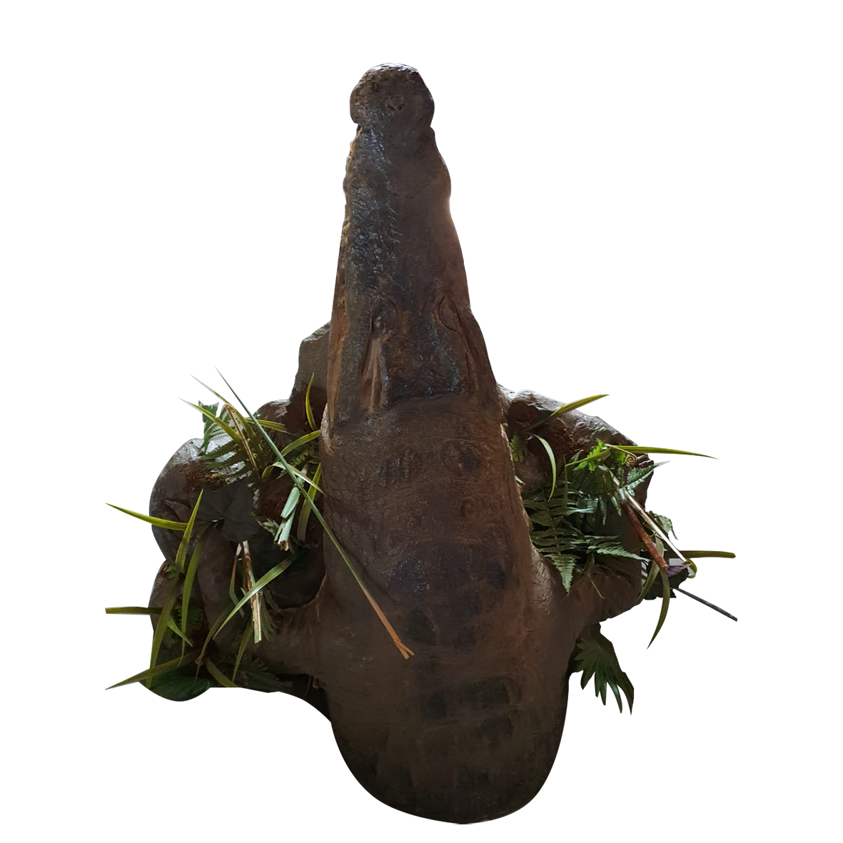 Crocodile Half Mount - Image 2