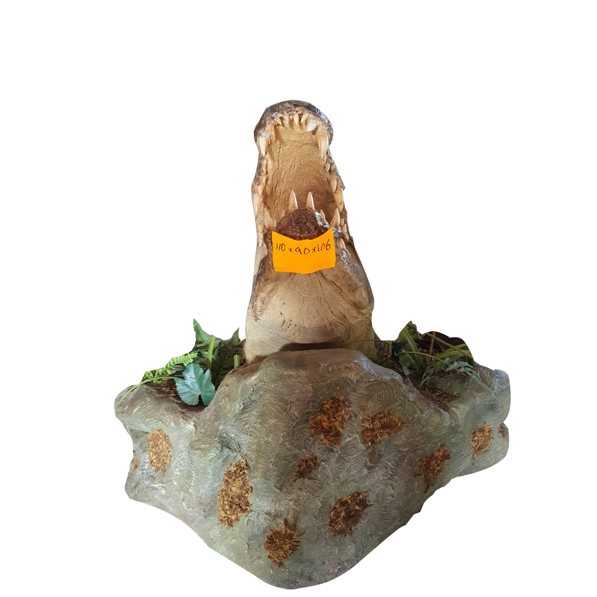 Crocodile Half Mount - Image 4