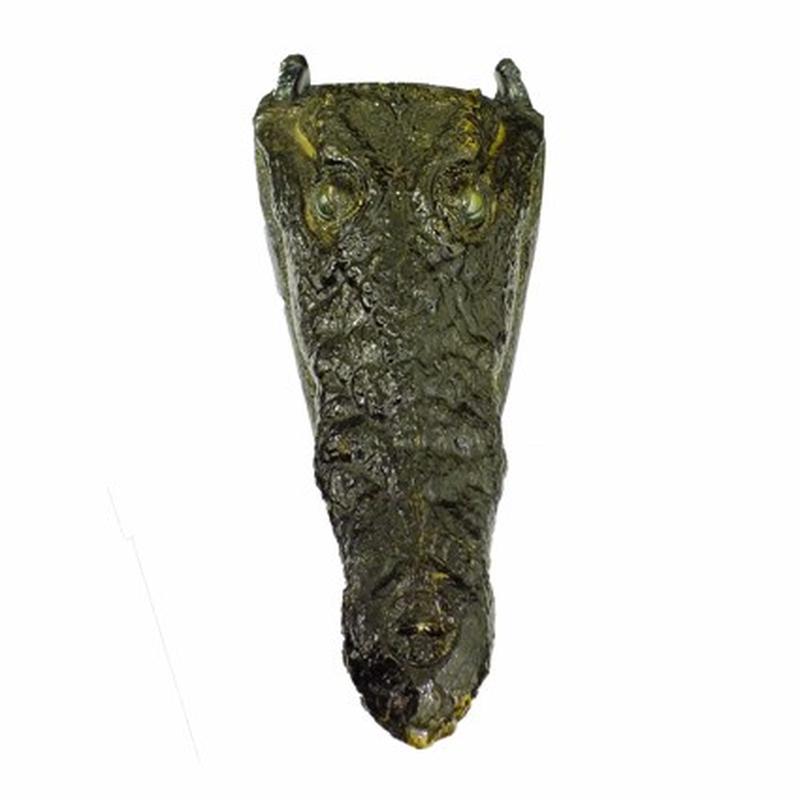 Crocodile Skull P W - Image 5
