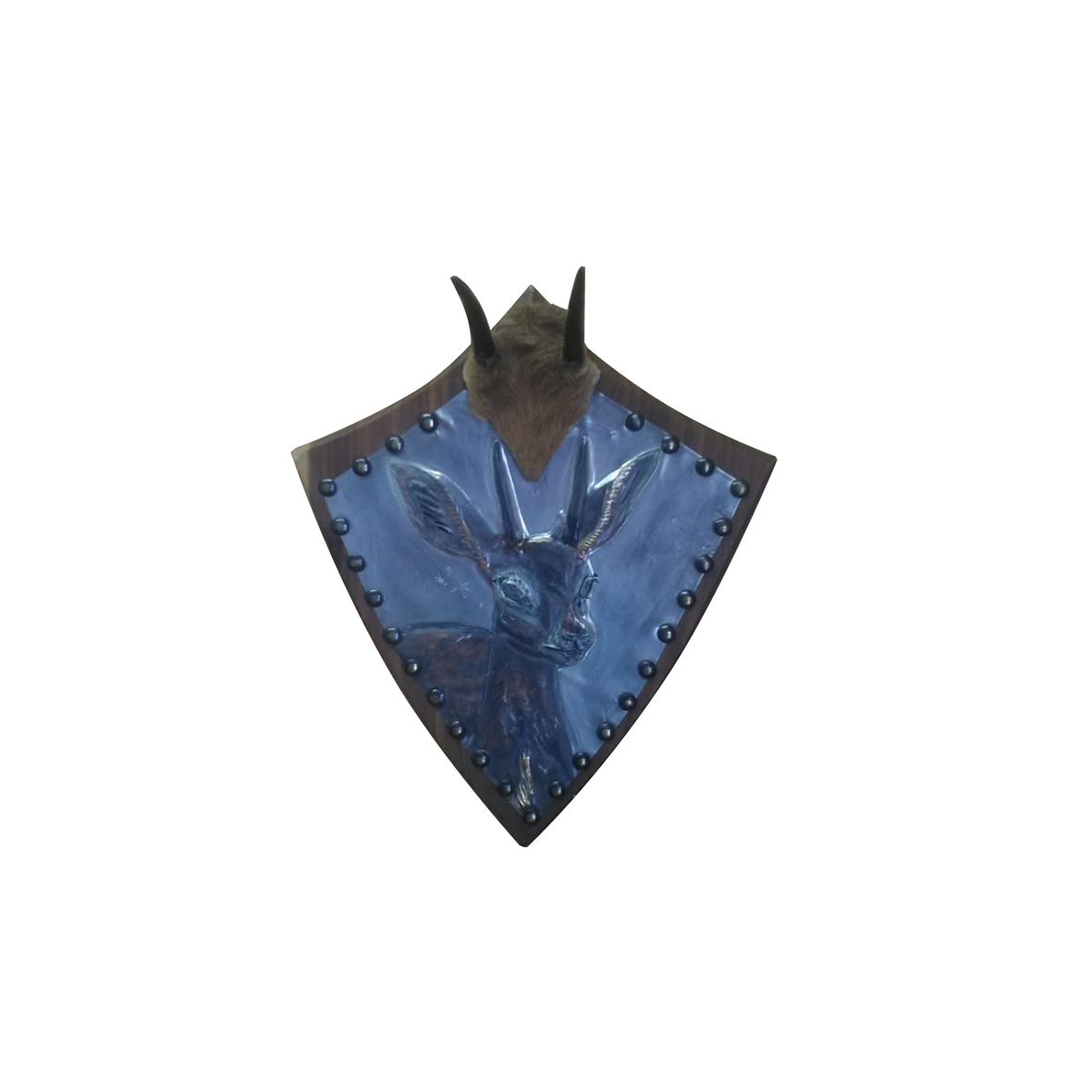 DUIKER HORNS DH01