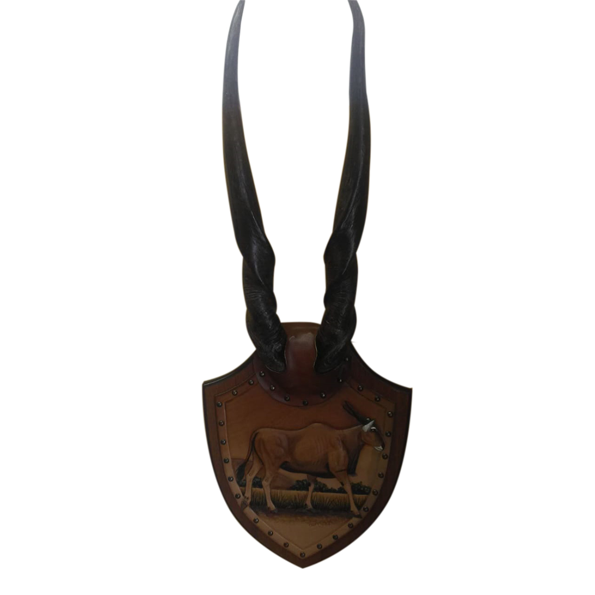 ELAND HORNS MOUNTS EHM2