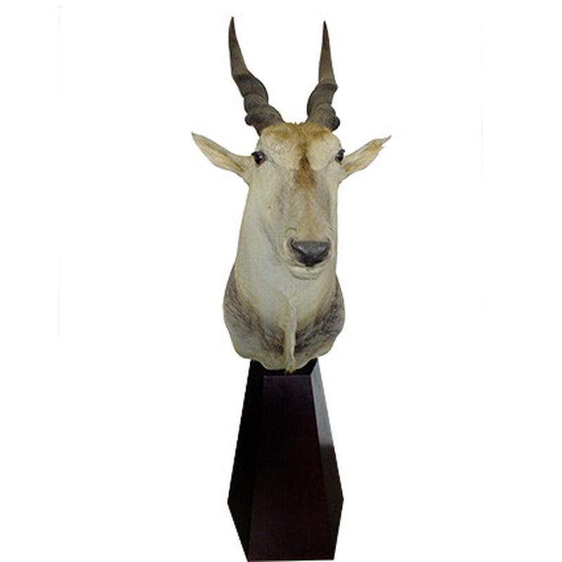 Eland Pedestal Mount EPM1 - Image 3