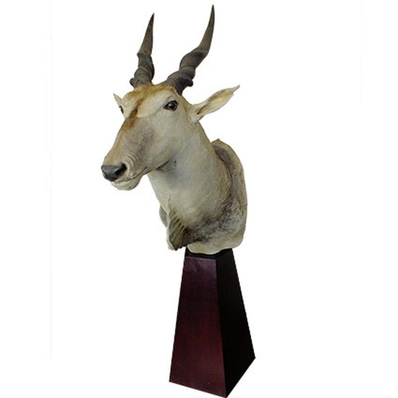 Eland Pedestal Mount EPM1 - Image 4