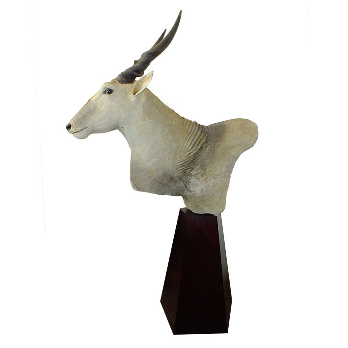 Eland Pedestal Mount EPM1